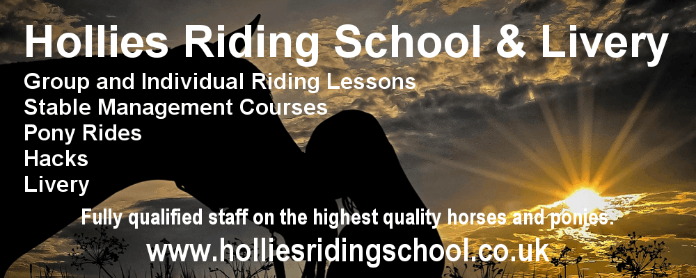 Hollies Riding School & Livery